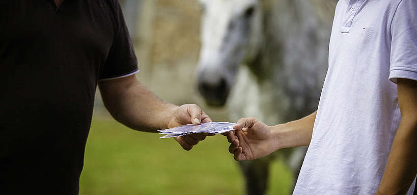 Cheval à vendre