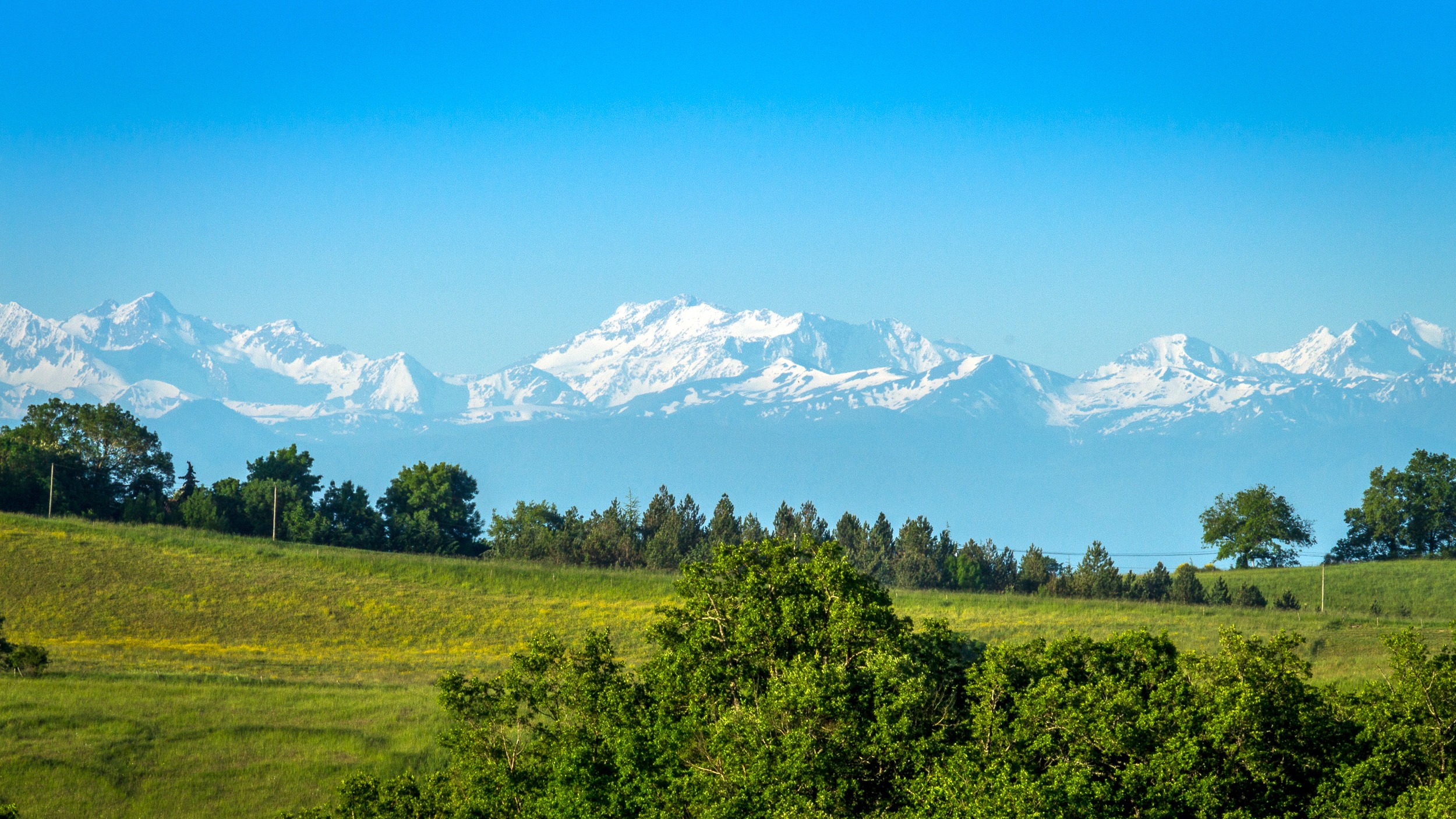 Prairies avec vue sur les Pyrénées