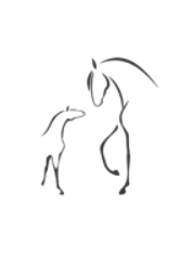 Logo Darmagnac